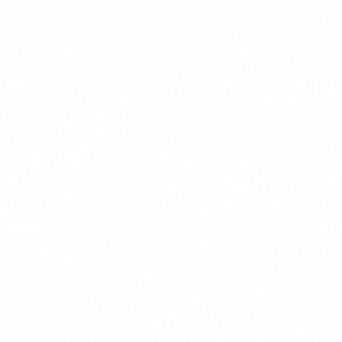 Logo Animation